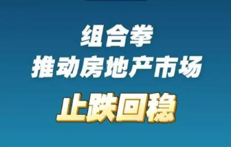 着力稳定房地产市场明年会采取哪些措施