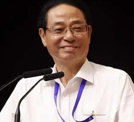 国医大师孙光荣是中医领域的杰出代表，在临床、科研、教学、文化传承及战略发展方面成就斐然